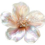 8d054e52ede274a75ef5506dfc6c3a65 removebg preview